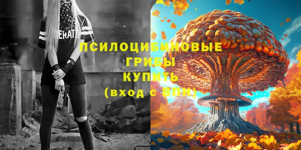 таблы Семёнов
