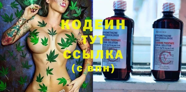 СК Семилуки